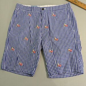 Castaway Nantucket Island Flag Shorts Men 32 Chino USA Blue White Check